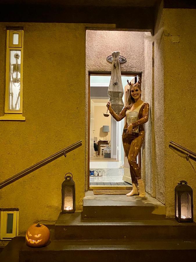 Casa Disa - Dreams, A Boutique Guesthouse In Reykjavik City'S Central Park And Botanical Garden In Laugardalur, Hot-Spring-Valley Екстер'єр фото