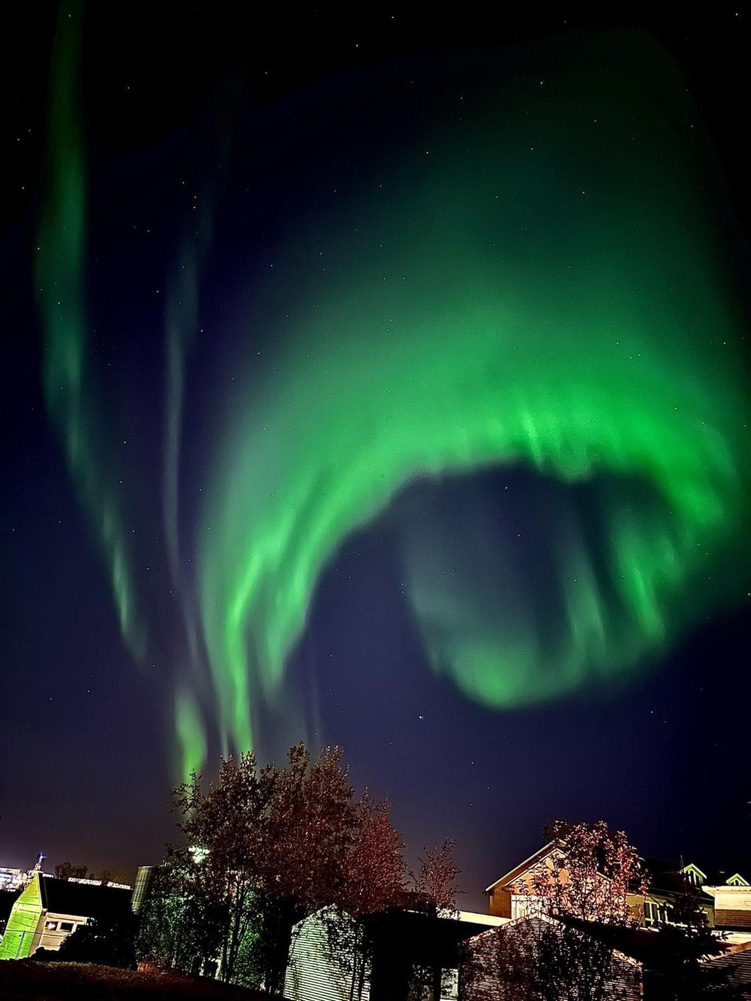 Casa Disa - Dreams, A Boutique Guesthouse In Reykjavik City'S Central Park And Botanical Garden In Laugardalur, Hot-Spring-Valley Екстер'єр фото
